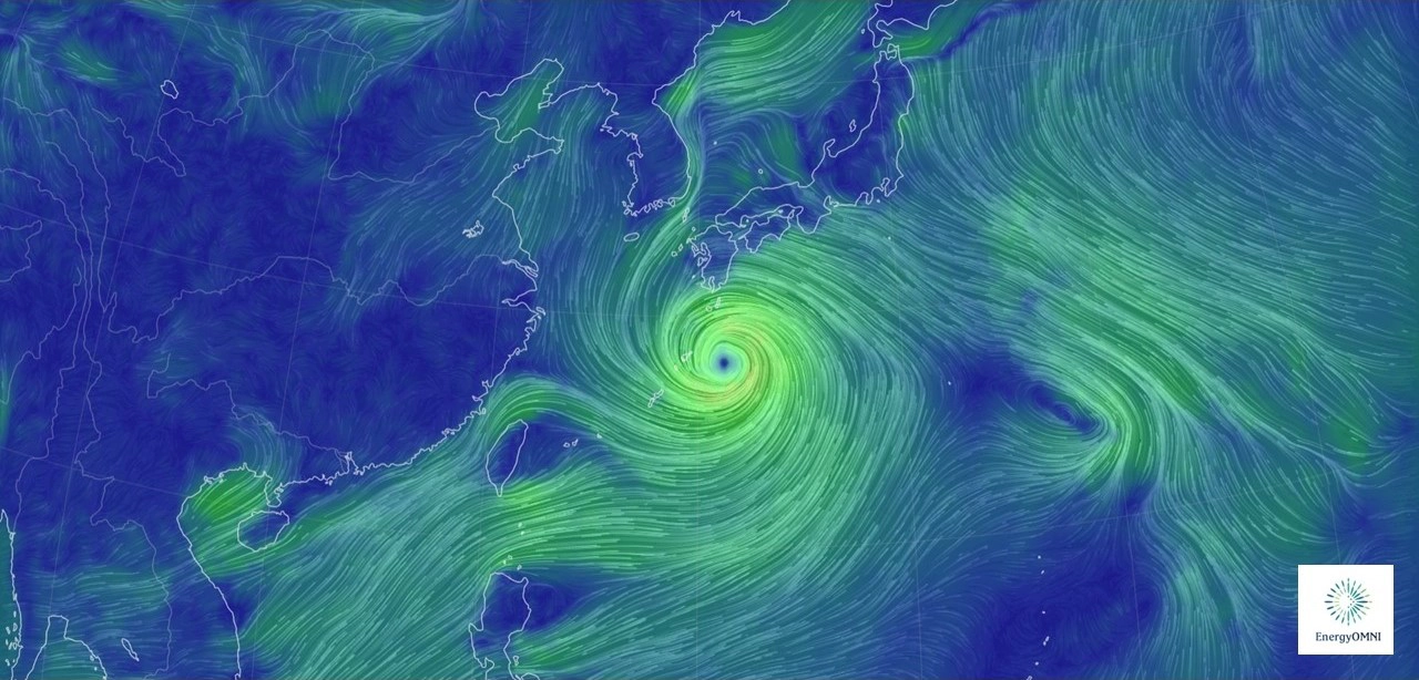 台灣離岸風電產業協（TOWIA）澄清颱風襲台離岸風電發電量未增加及鯨豚擱淺數量增加質疑