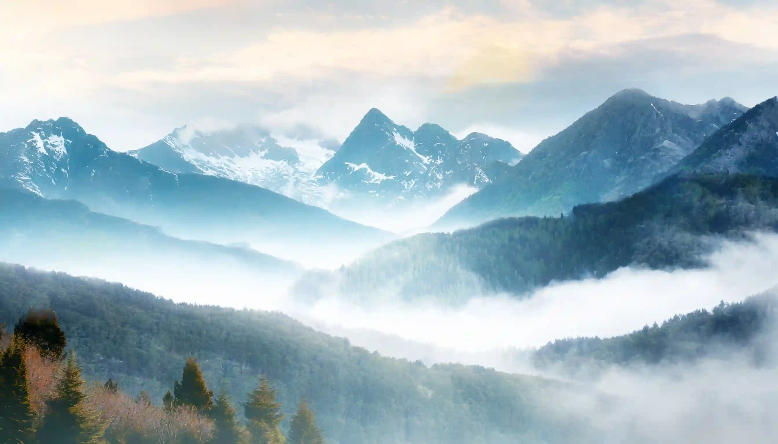 OMNI Features｜Germany's Carbon Credit Revenue Contributing €18.4 billion in 2023 / Carbon Credit Sales Aid Rainforest and Indigenous in Great Bear Rainforest / Taipower's Green Energy Direct Supply Sees a 50% Increase