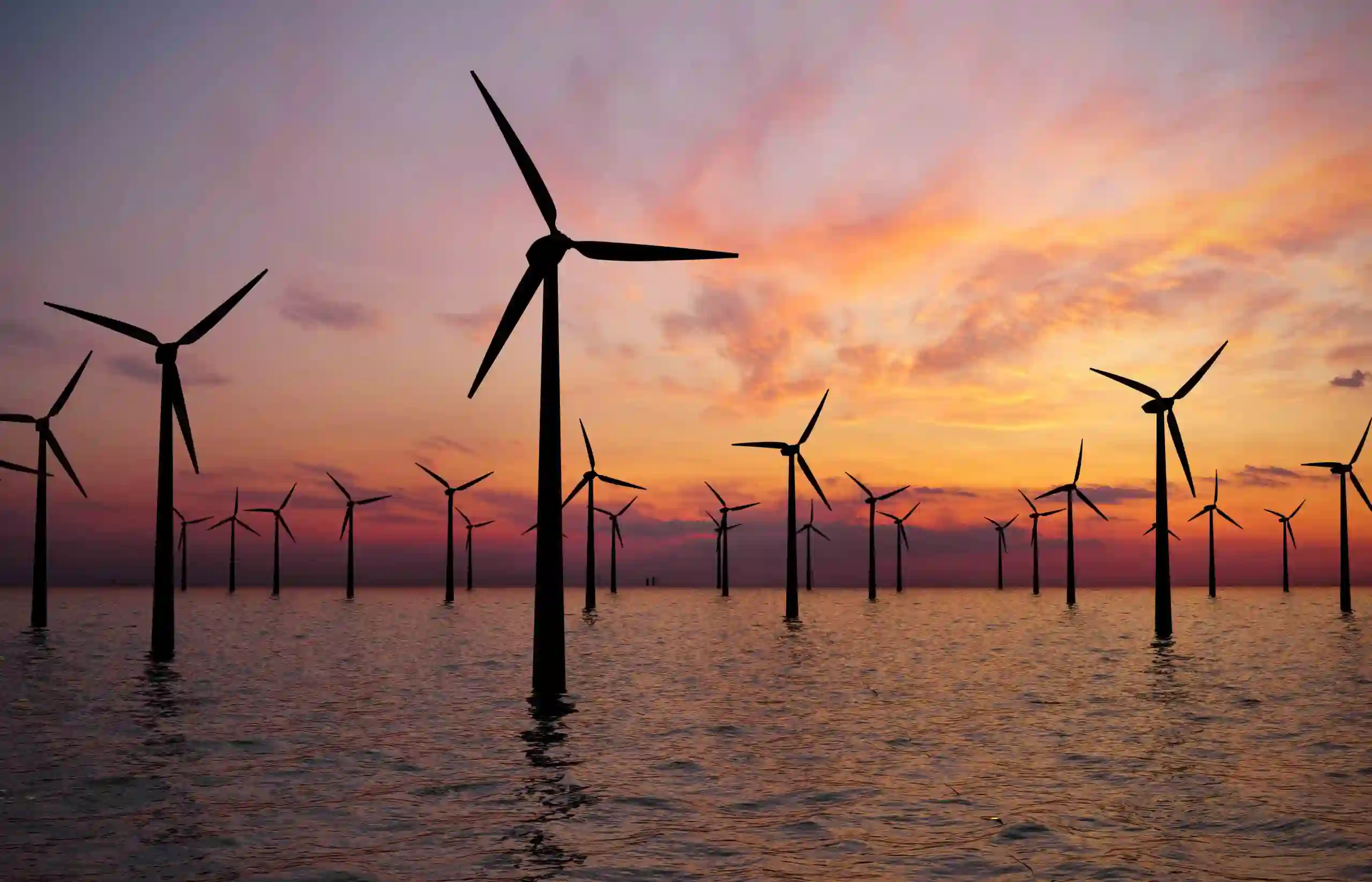 OMNI Features｜EDF and Fred Olsen Seawind Slash Turbine Numbers for Codling Wind Park．Scotland's £16 Billion Wind Energy Set to Go to Waste．Chinese OEM Mingyang's Scottish Offshore Wind Turbine Factory Plan Named 'Priority'