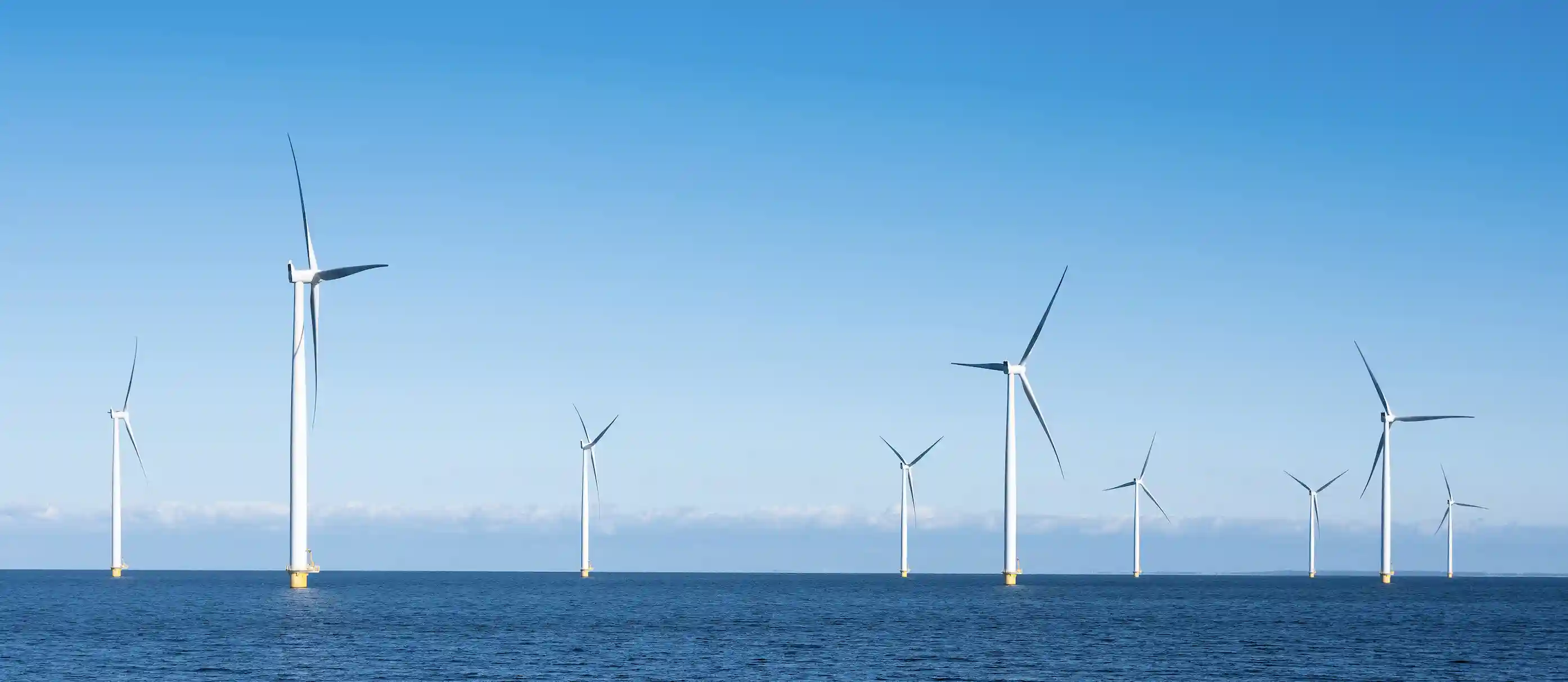 Taiya Renewable Energy Withdraws from Taiwan 3.2 Offshore Wind Zonal Development Auction