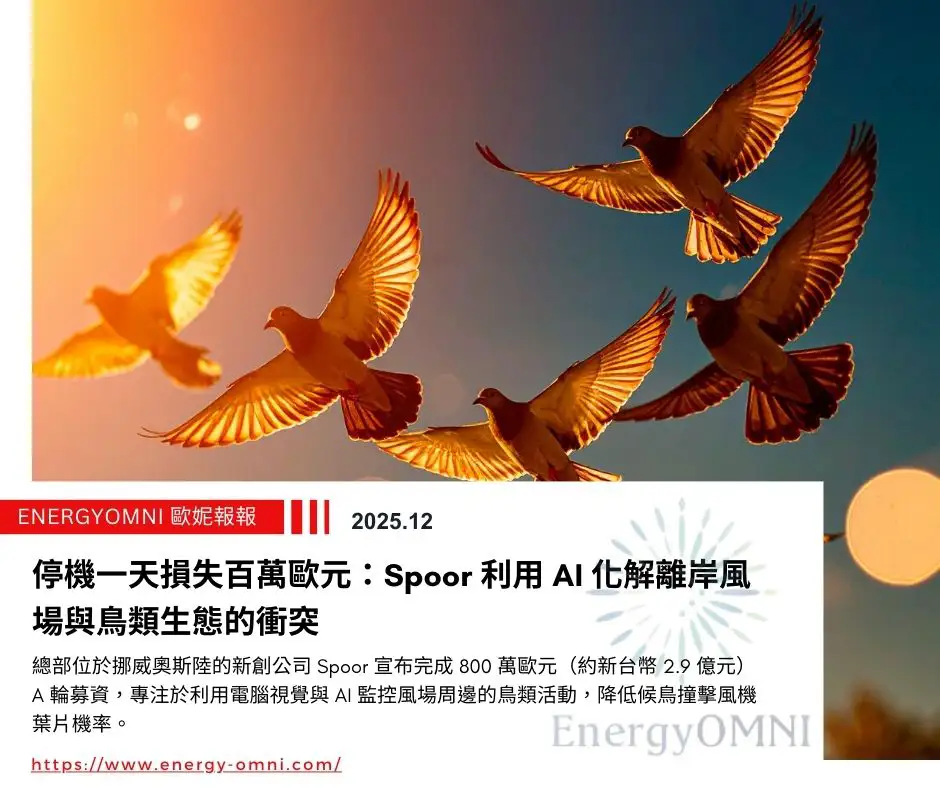 停機一天損失百萬歐元：Spoor 利用 AI 化解離岸風場與鳥類生態的衝突