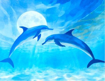 OMNI Features｜Thailand Drafts Legislation to Reduce Carbon Emissions．EU and Australia Reaffirm Commitment to Implementing Paris Agreement．First "Tri-Green Greenhouse" in Taiwan Inaugurated in Promoting Sustainable Pasture Industry